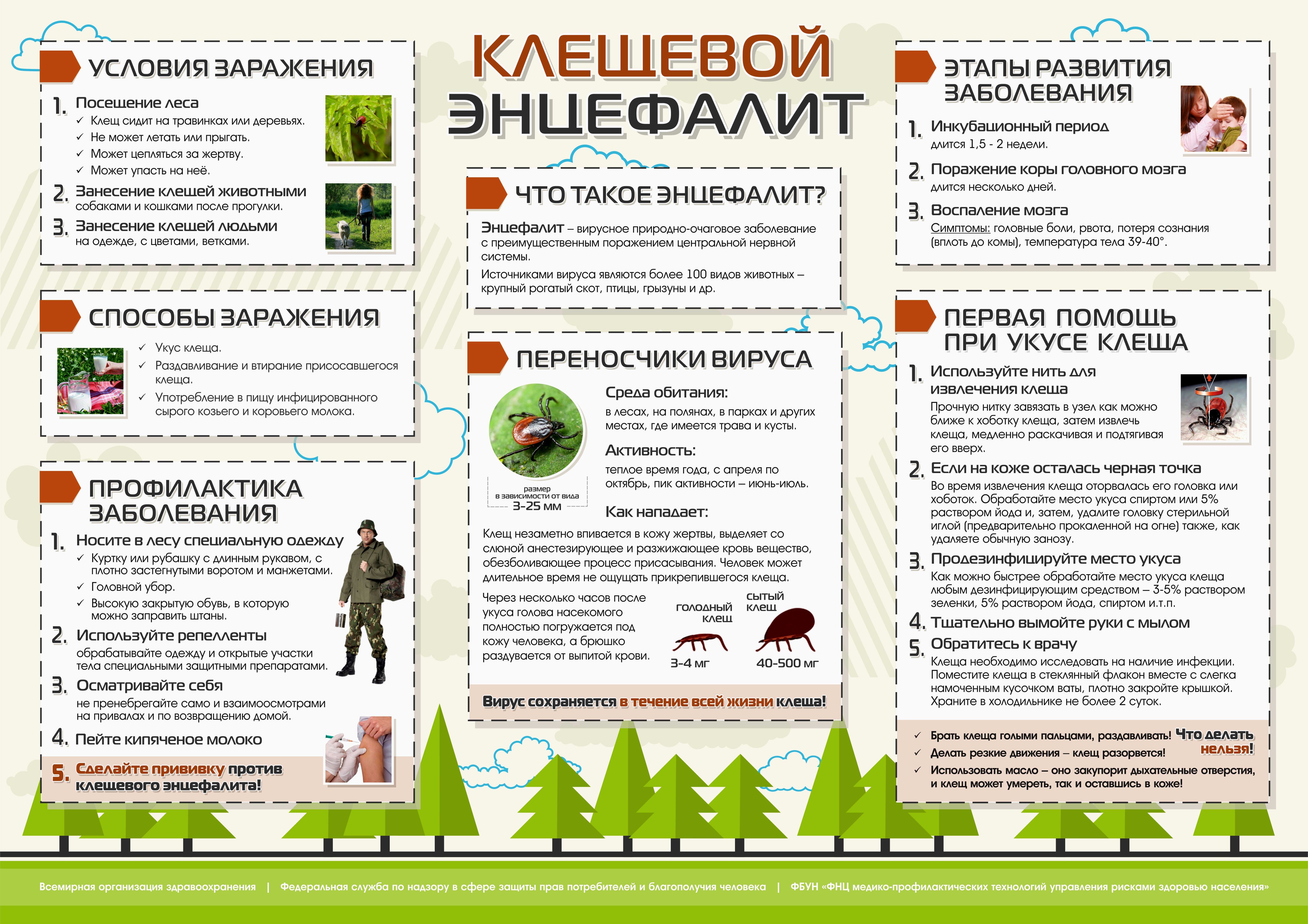 Осторожно, клещи! Памятка для родителей..